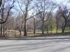 0801_new_york-central_park-dscf6099