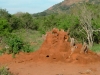 0605-kenia-tsavo-east-termiten-dscf4266