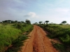 0605-kenia-tsavo-west-panorama-dscf4114