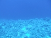 0610_hurghada-panorama_reef-dscf4858