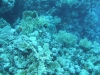 0610_hurghada-panorama_reef-dscf4866